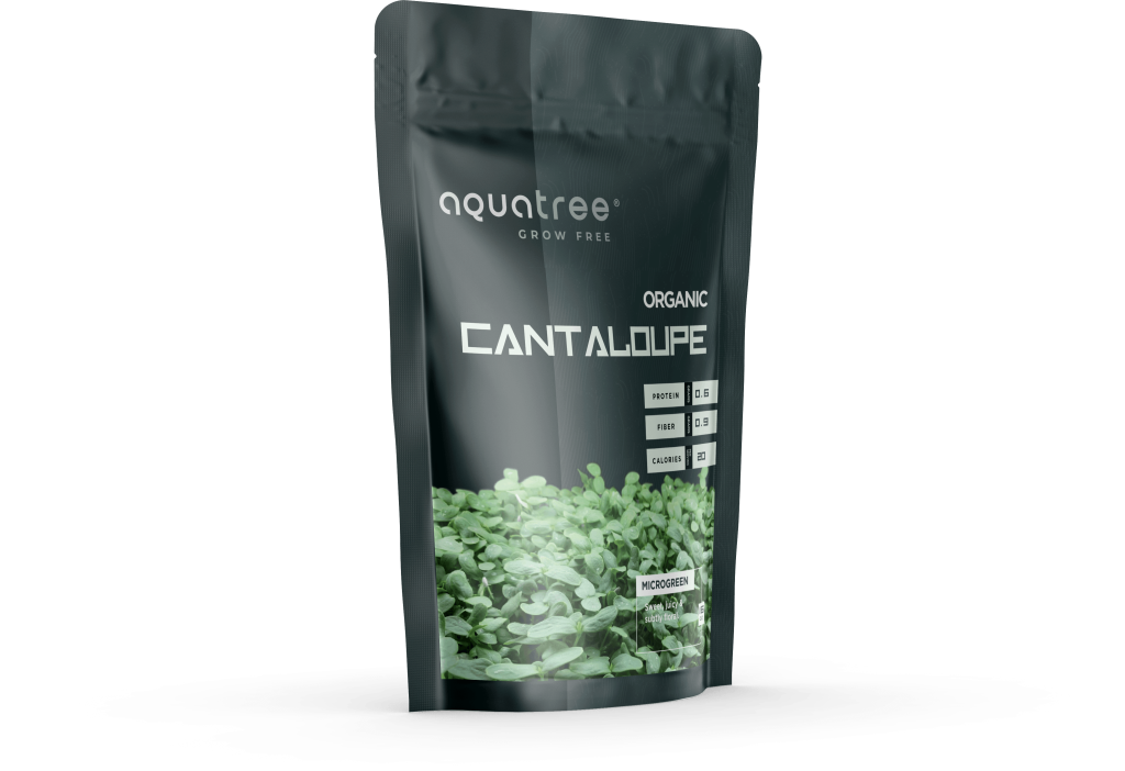 Cantaloupe Microgreen Seeds: Hale's Best Jumbo | AquaTree