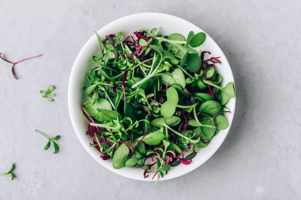 Microgreens. Superfood microgreen sprout mix in bowl on gray stone
