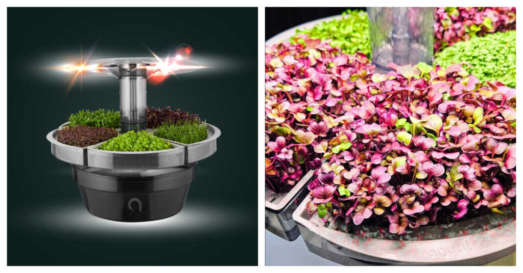 Aquatree Microgreen Garden