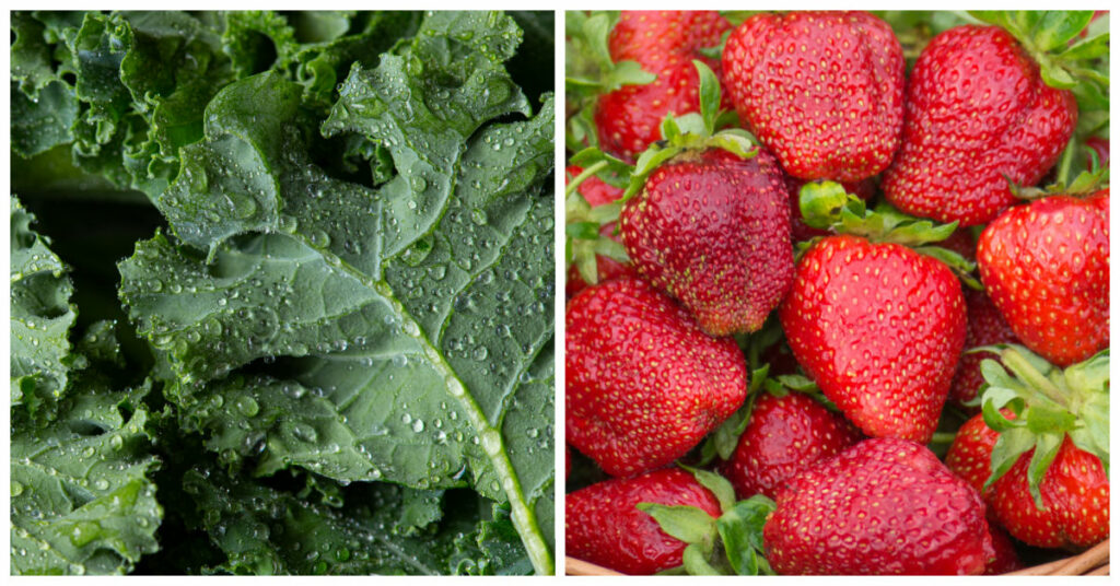 Produce Pesticide Buyers Guide