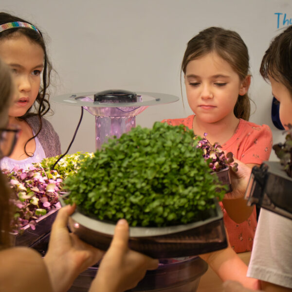 Aquatree Garden Home Hydroponic Education Kit - Image 2