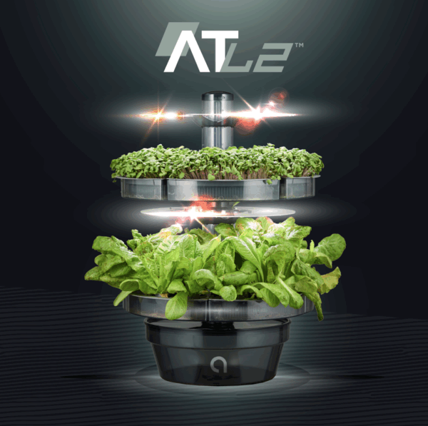 Aquatree ATL2 - Two-Level Indoor Hydroponic Garden for Lettuce, Microgreens & Bean Sprouts