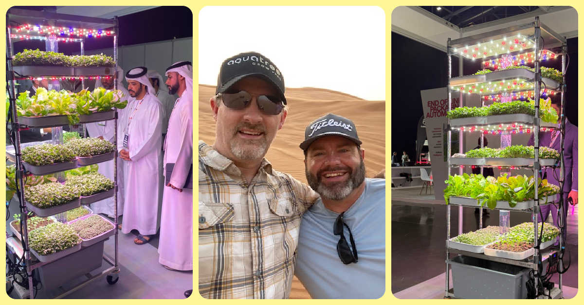 Indoor hydroponics in Dubai