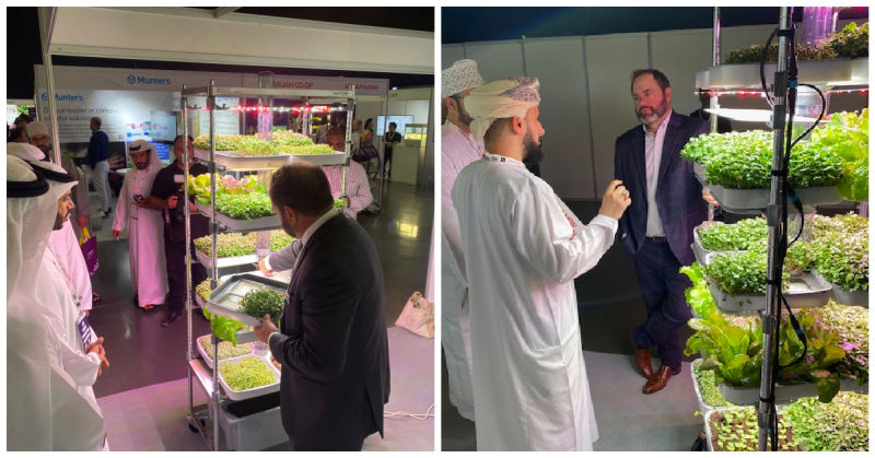 Hydroponic System Innovation in Dubai