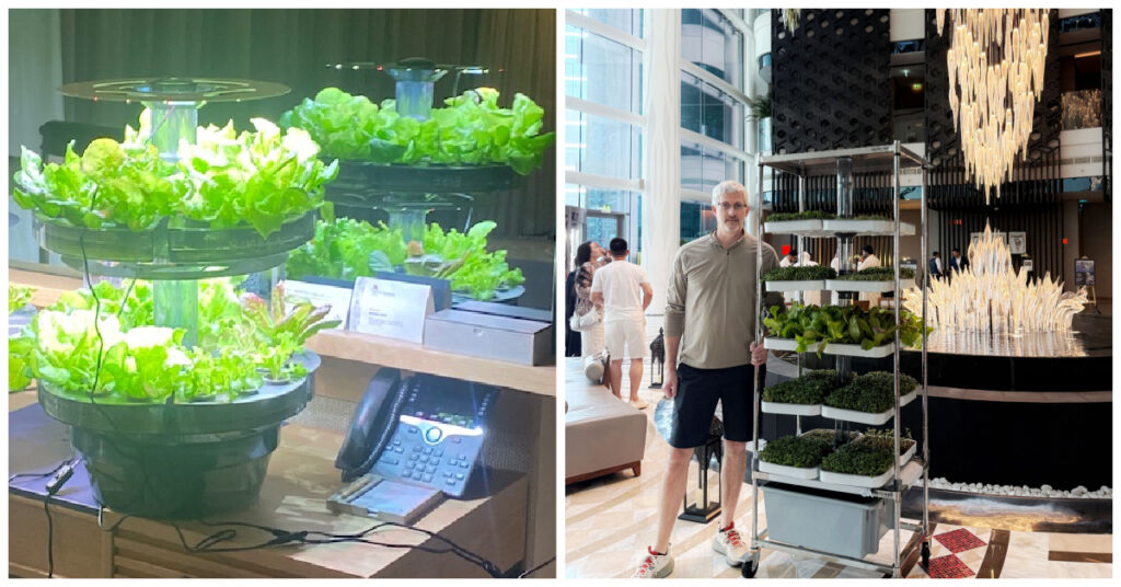 Indoor Hydroponics Innovation in Dubai