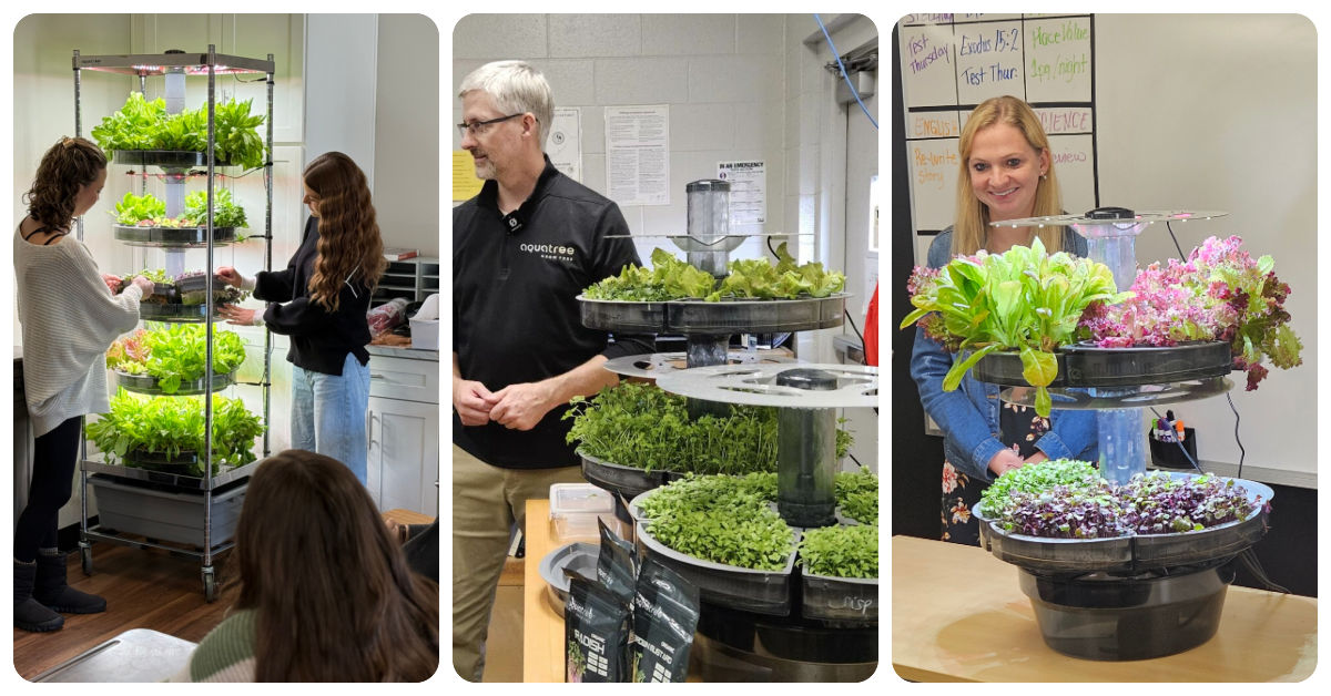 Indoor hydroponics systems for schools