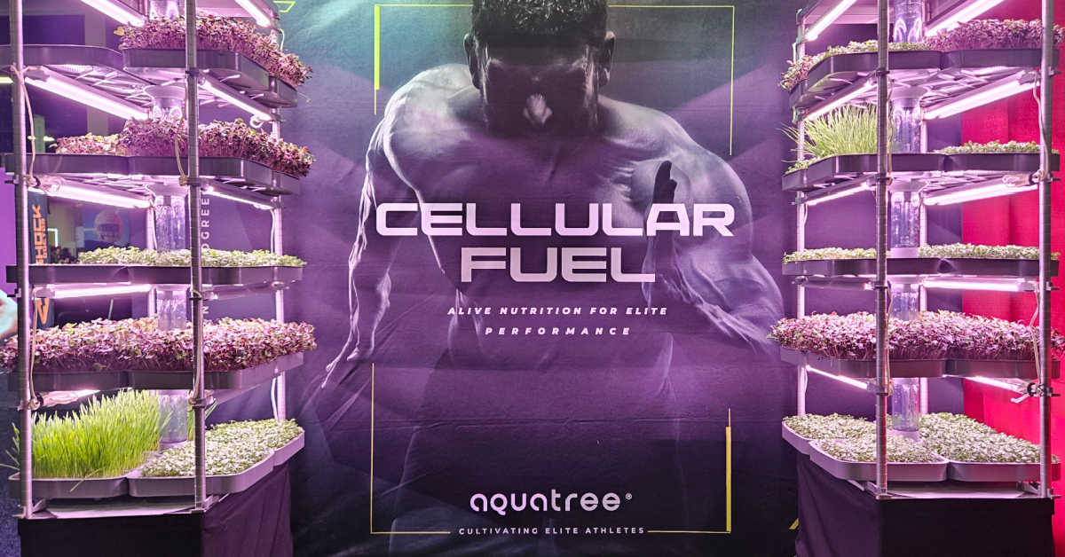 Top 5 Microgreens for Athletes