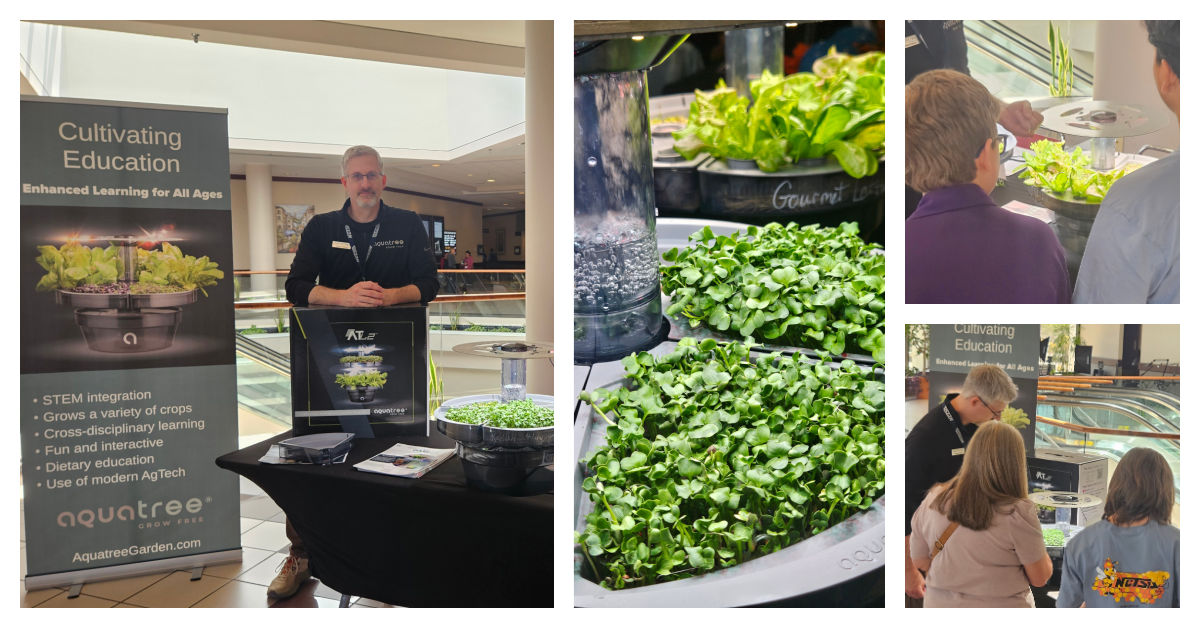 Indoor Hydroponics STEM Exhibit
